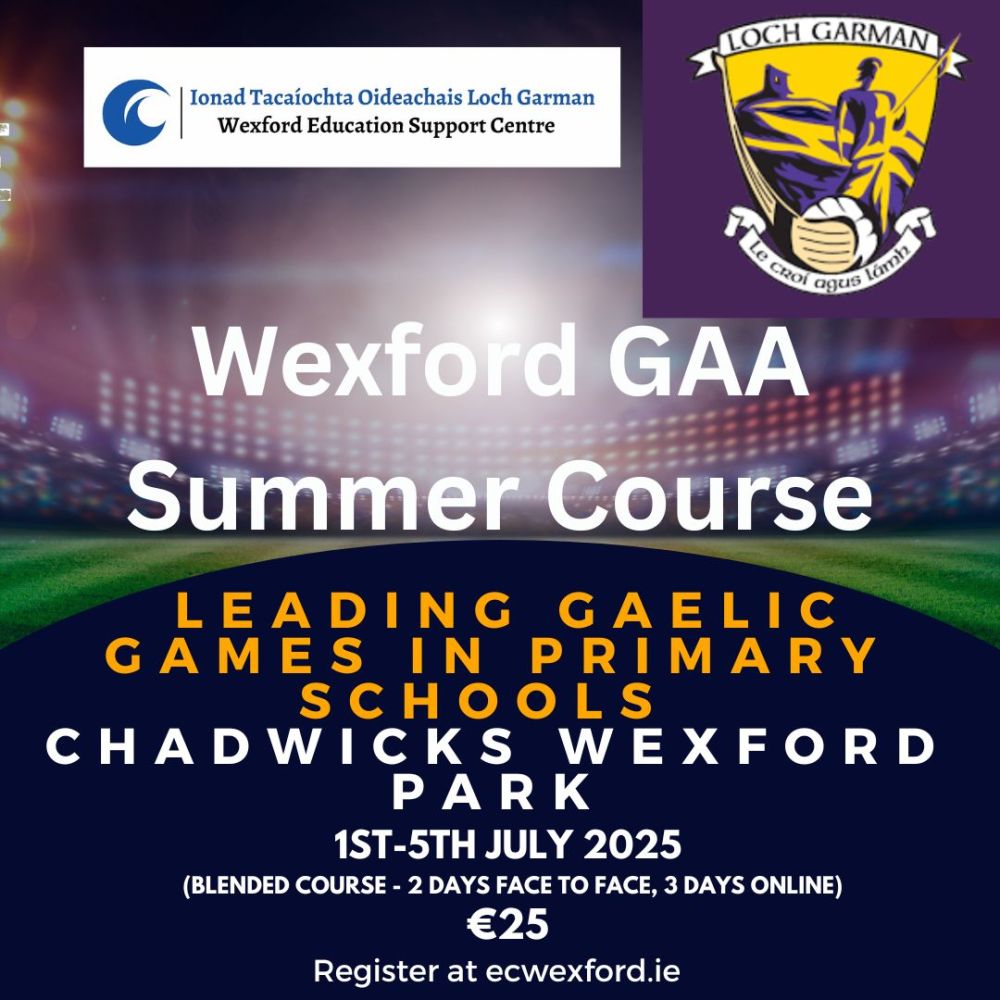 wexford gaa summer course poster 2025