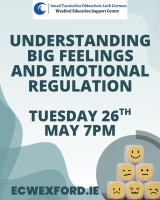Understanding Big Feelings and Emotional Regulation