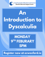 An Introduction to Dyscalculia (P/PP)