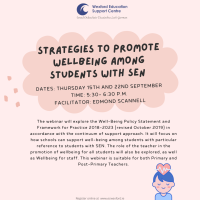 Strategies to Promote Wellbeing among students with SEN- Workshop 2/2