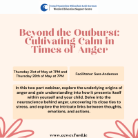 Beyond the Outburst: Cultivating Calm in Times of Anger (Session 2 of 2)  
