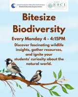 Bitesize Biodiversity 