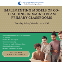 Implementing Models of Co-Teaching in Mainstream Primary Classrooms