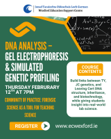 DNA Analysis – Gel Electrophoresis & Simulated Genetic Profiling-Community Of Practice