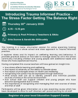 Introducing Trauma informed practice – the stress factor getting the balance right (Primary & Post Primary schools)