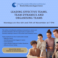 Leading Effective Teams, Team Dynamics and Organising Teams (Part 1)