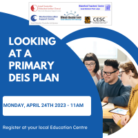 Looking at a Primary DEIS Plan