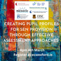Creating Pupil Profiles for SEN Provision Through Effective Assessment Approaches